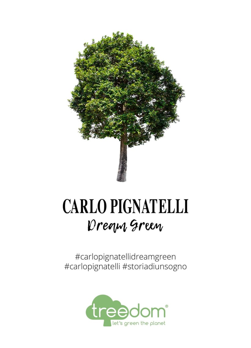 Carlo Pignatelli Dream Green