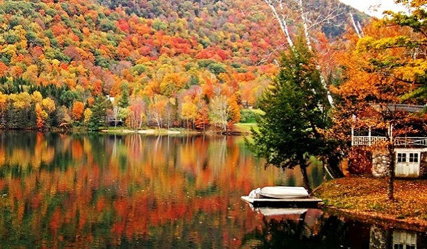 Fantastic Fall: The Best States To Visit in Autumn
