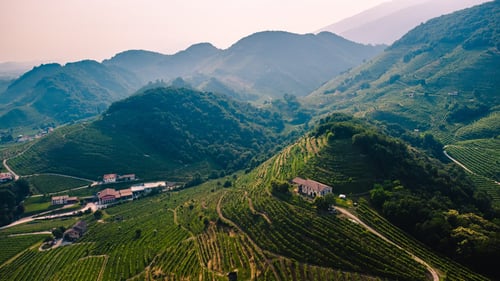 Colline del Valdobbiadene