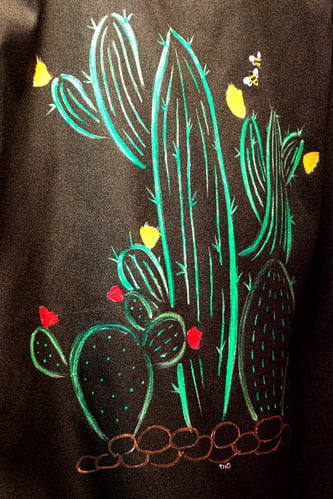 simonetta ravizza cactus