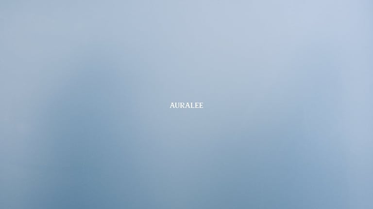 AURALEE AUTUMN & WINTER 2022 MEN'S & WOMEN'S COLLECTION