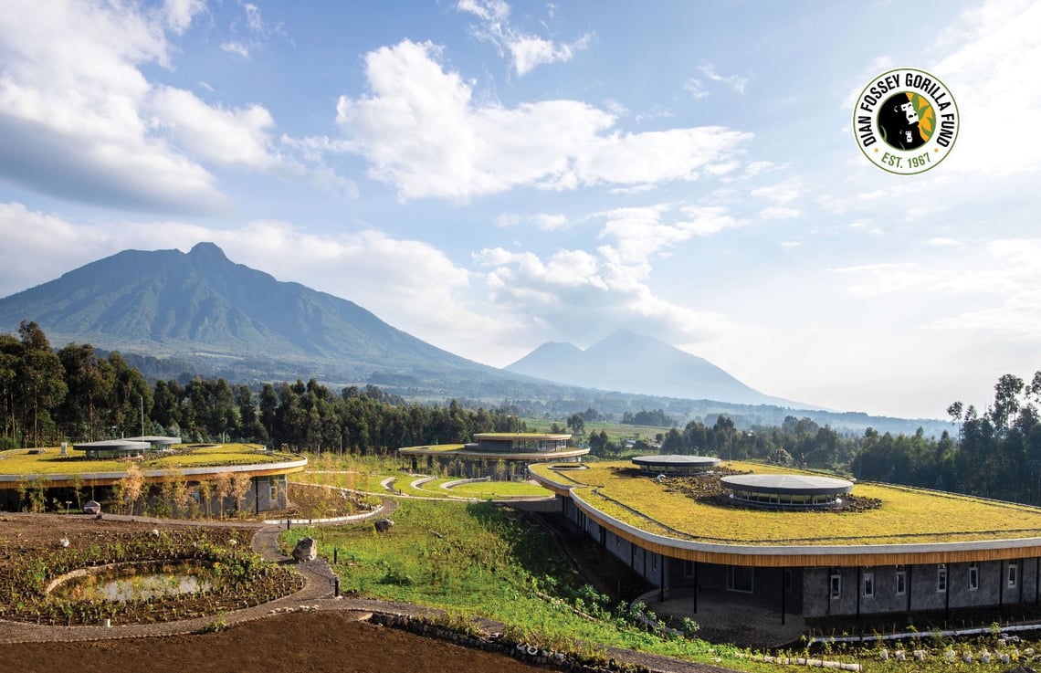 Representación del campus - Cortesía de Dian Fossey Gorilla Fund