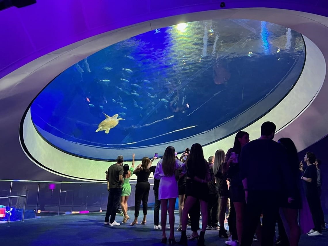 Aquarium View