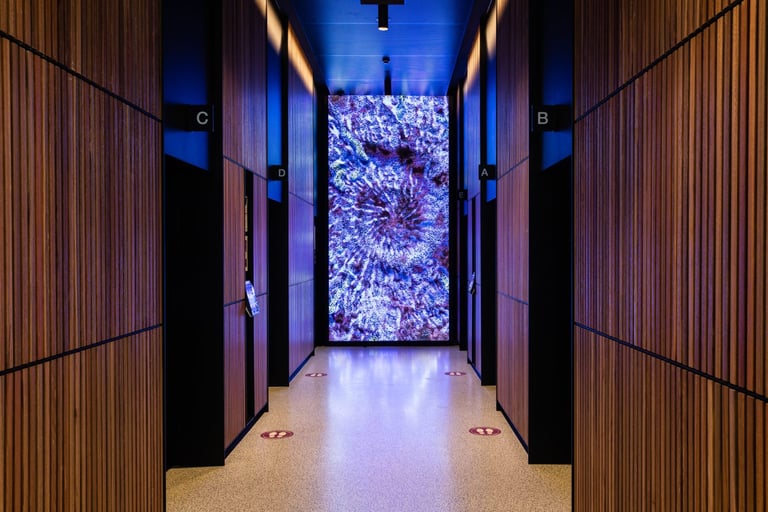 First of its kind Digital Art and NFT platform aims to transform empty screens into works of art.