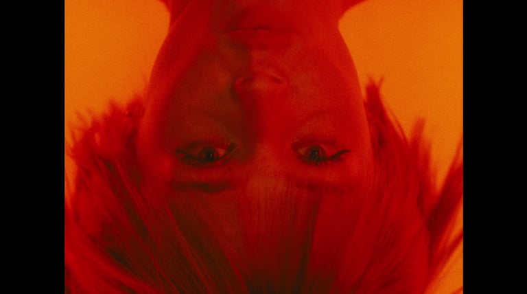 Maggie Rogers' neue Single "Want Want" ist heute erschienen