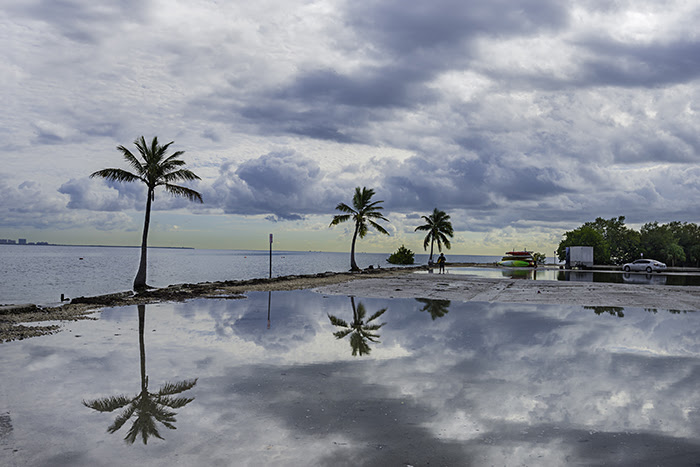 King Tide
