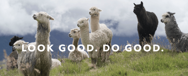 Juntos Enters The Sustainable Footwear Market With The World’s First Shoe Made With Alpaca Fleece