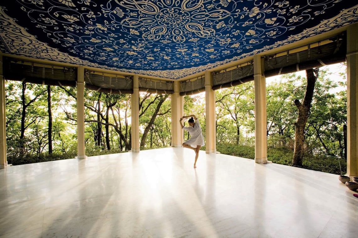 Ananda in the Himalayas, India