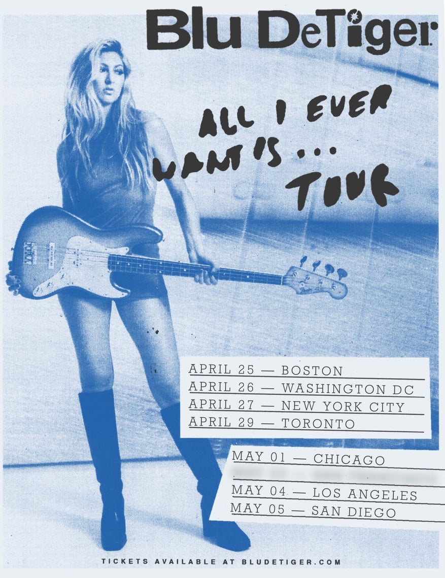 'ブルー・デタイガーのデビュー・スタジオ・アルバム『All I Ever Want Is Everything』