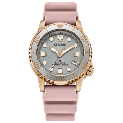 Promaster Dive