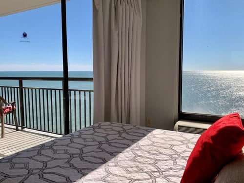 Pearl on the Beach Pet Friendly
