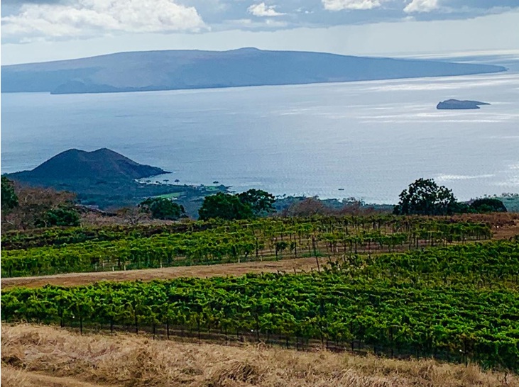 Bucket List Food & Wine – Maui