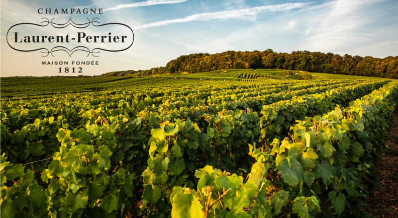 Champagne Laurent-Perrier Takes the Crown