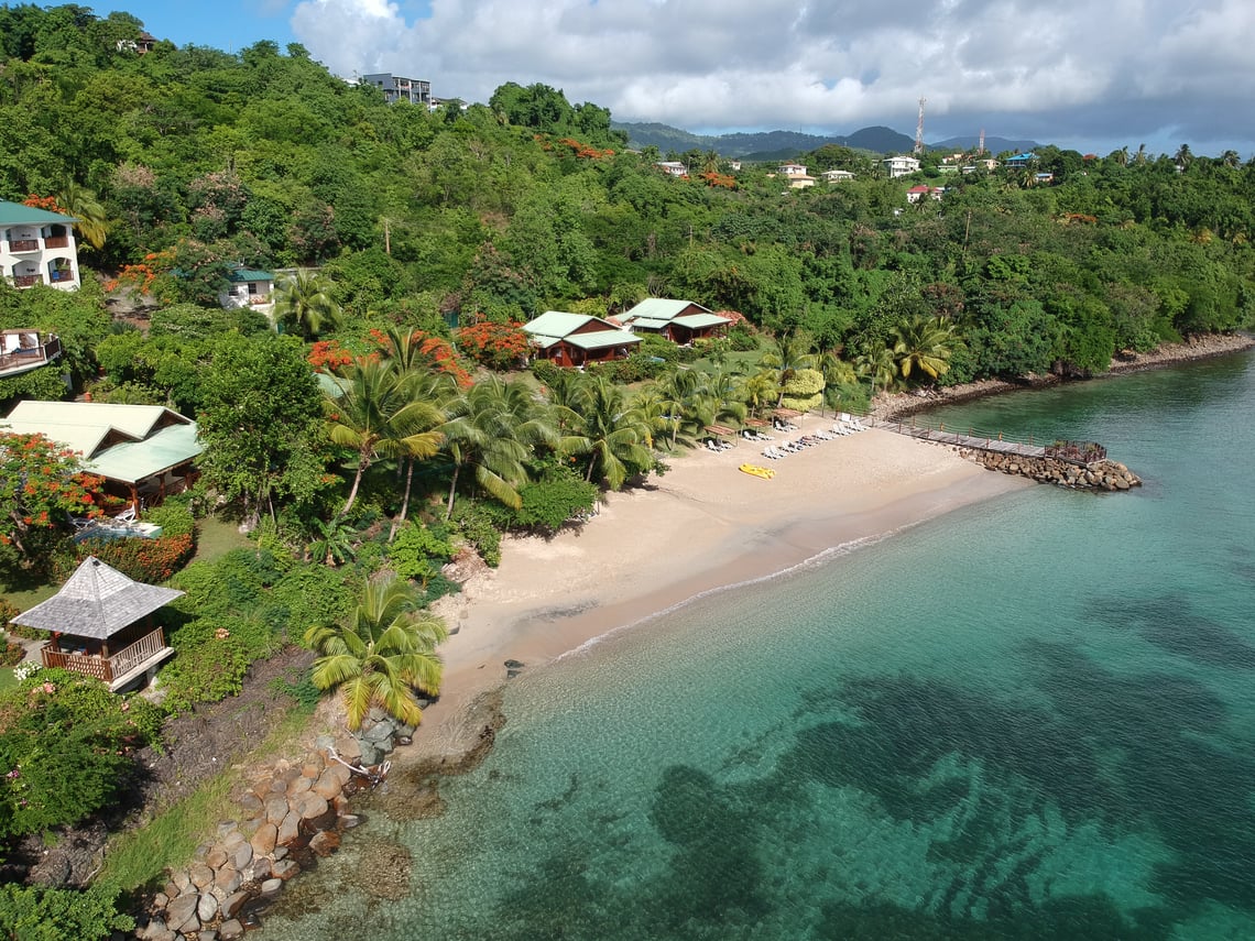 Improve Gut Health with a Plant Based Lifestyle in Saint Lucia