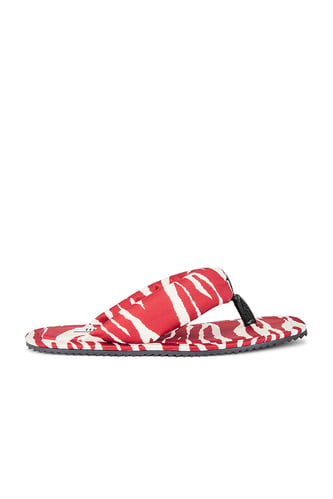 The Attico Zebra Printed Indie Flat Thong Sandal
