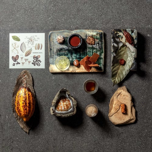 Cacao Chuncho (by Gustavo Vivanco)