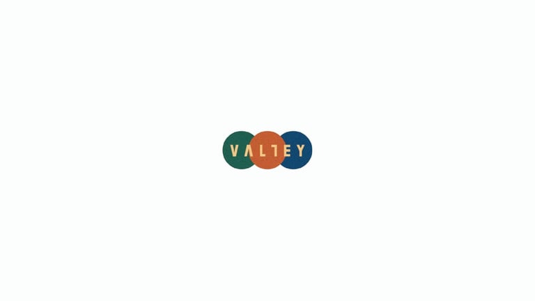 Valley Re-Release Debut Album Maybe On Vinyl.