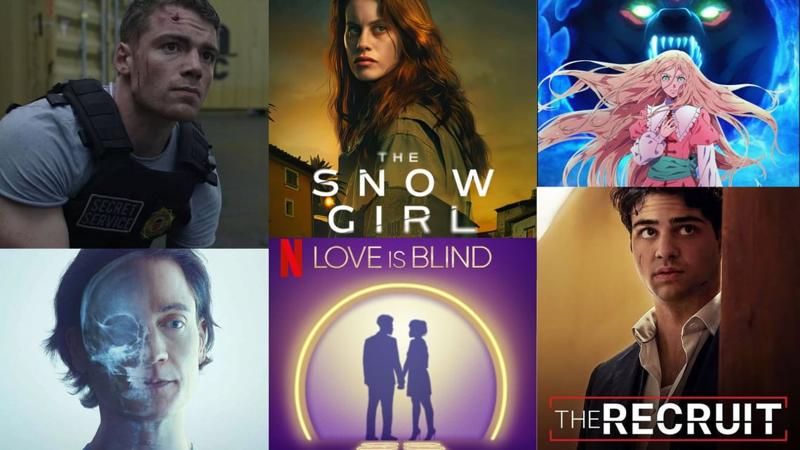 Netflix 2025 年 1 月阵容