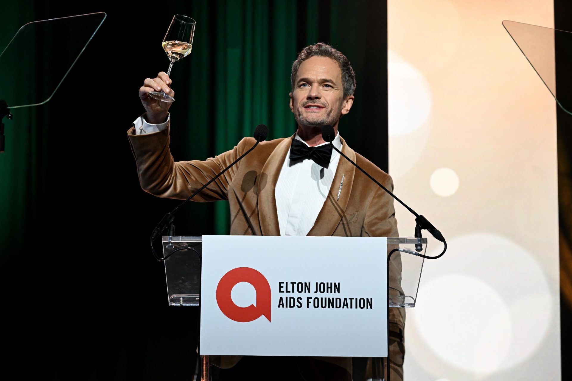 33rd Annual Elton John AIDS Foundation Academy Awards Viewing Party