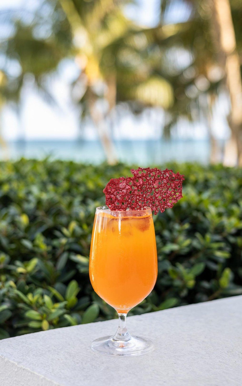 Coral Reef Cooler