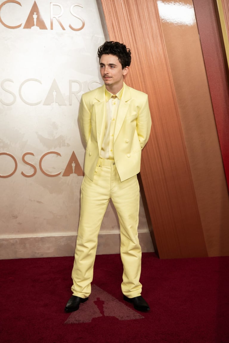 Timothée Chalamet in A Complete Unknown
