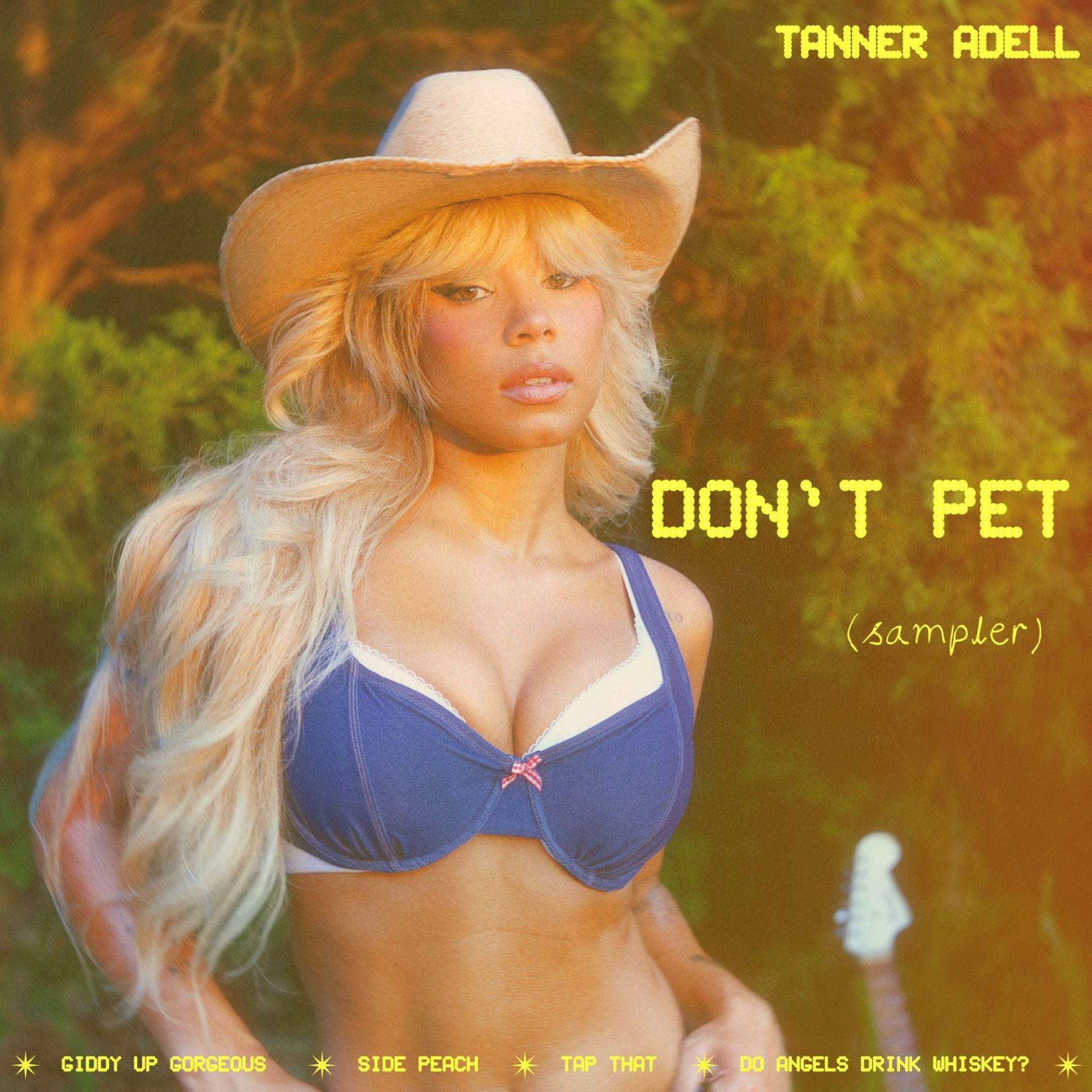 「Don't Pet (Sampler)」のカバーアート