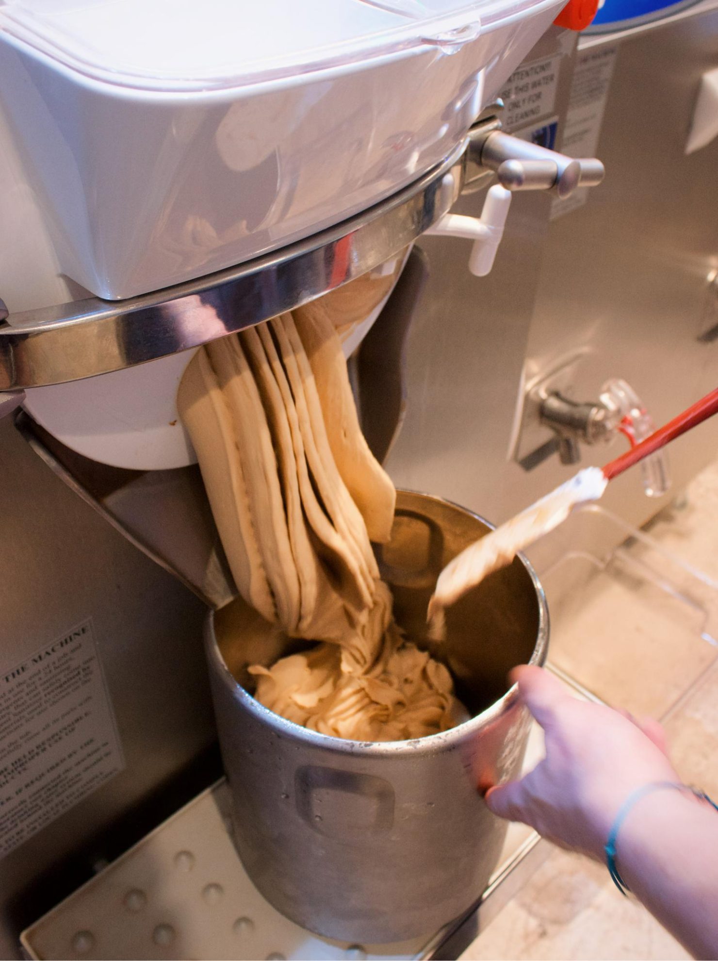 V Gelato Unveils New Summer Menu with “Summer Paw-ty”