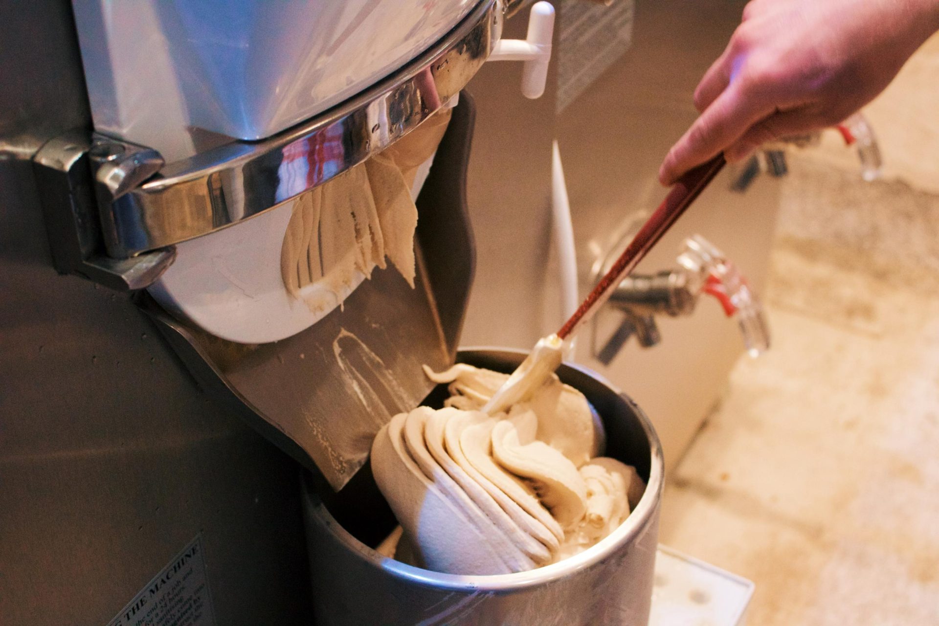 V Gelato Unveils New Summer Menu with “Summer Paw-ty”