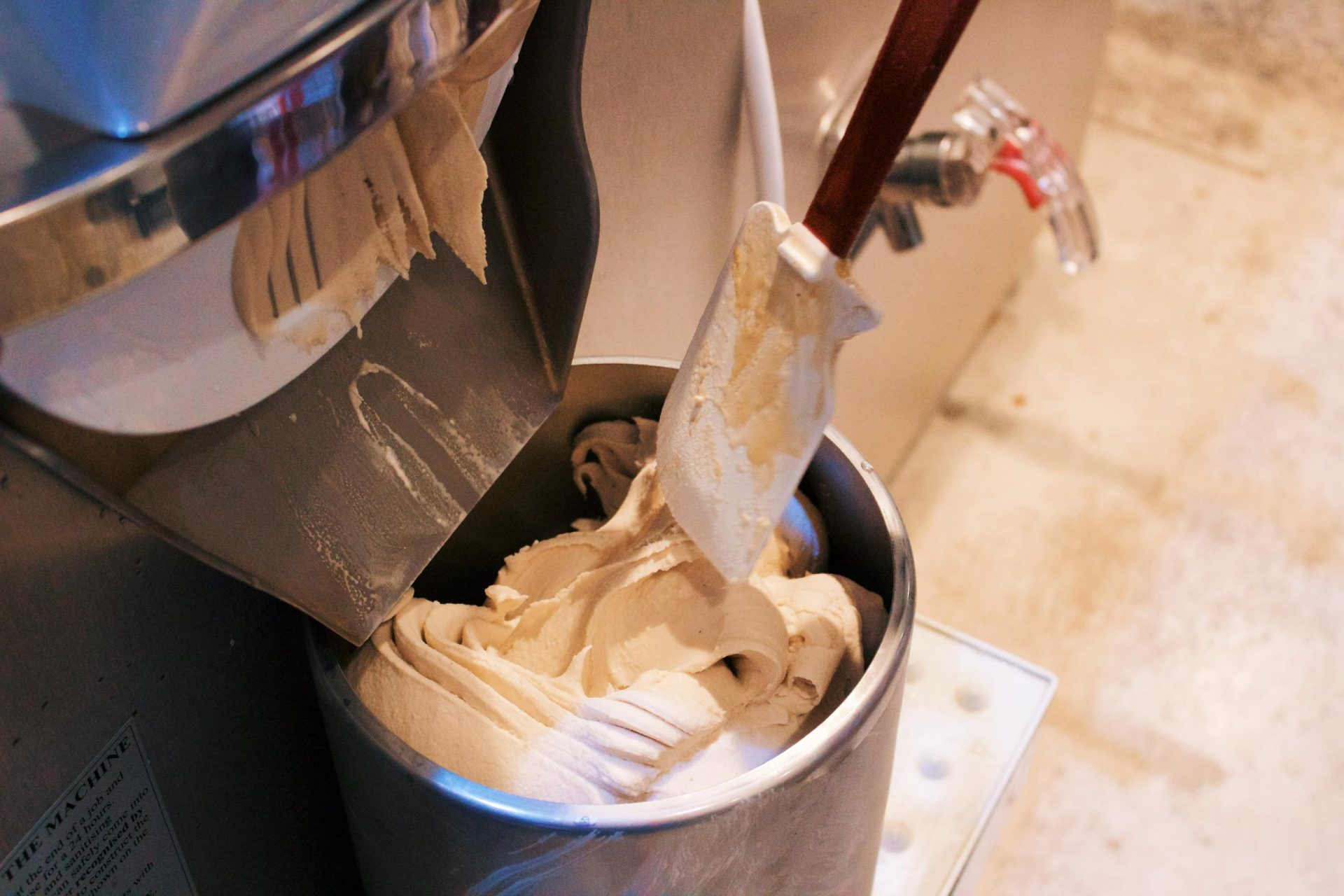 V Gelato Unveils New Summer Menu with “Summer Paw-ty”