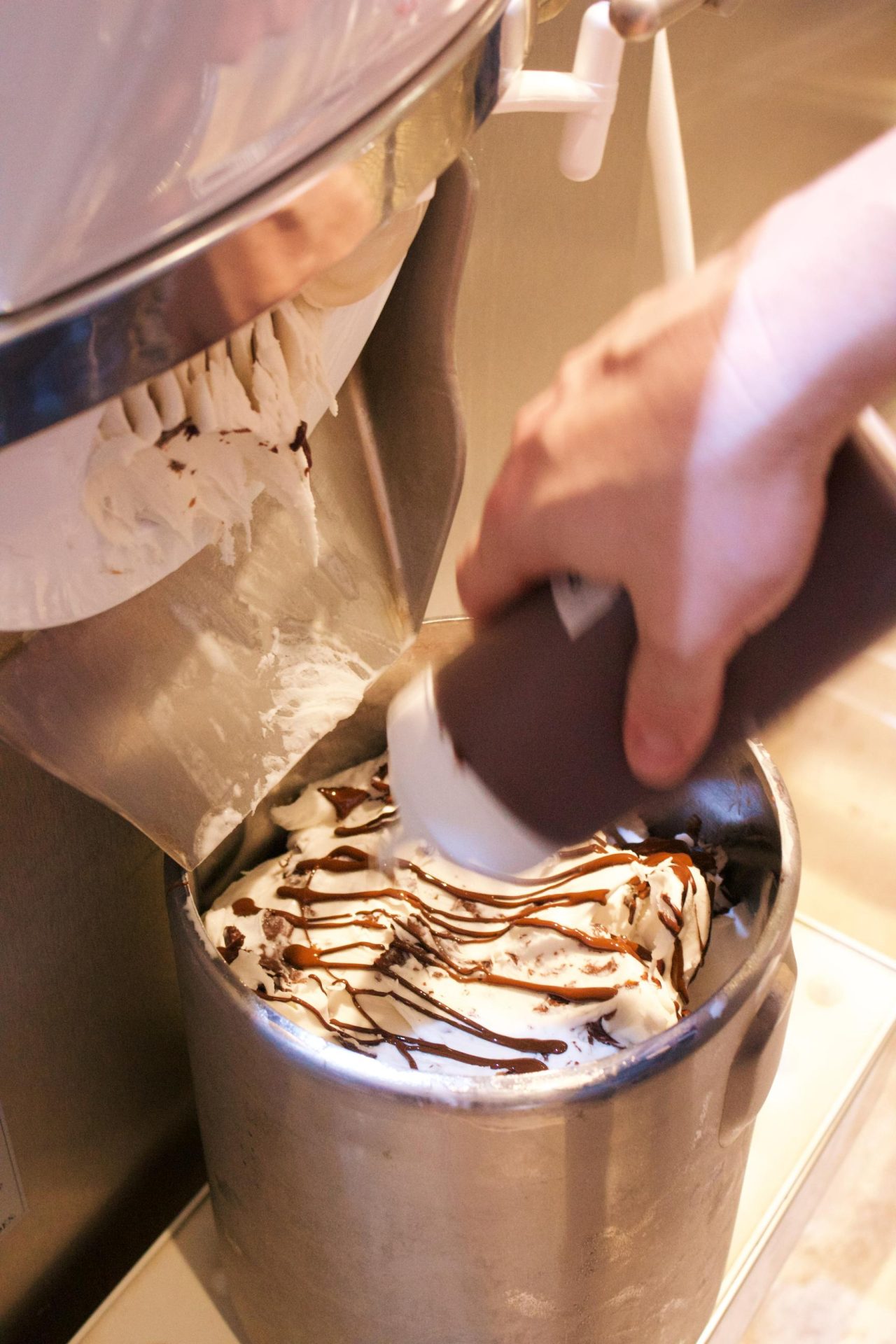 V Gelato Unveils New Summer Menu with “Summer Paw-ty”