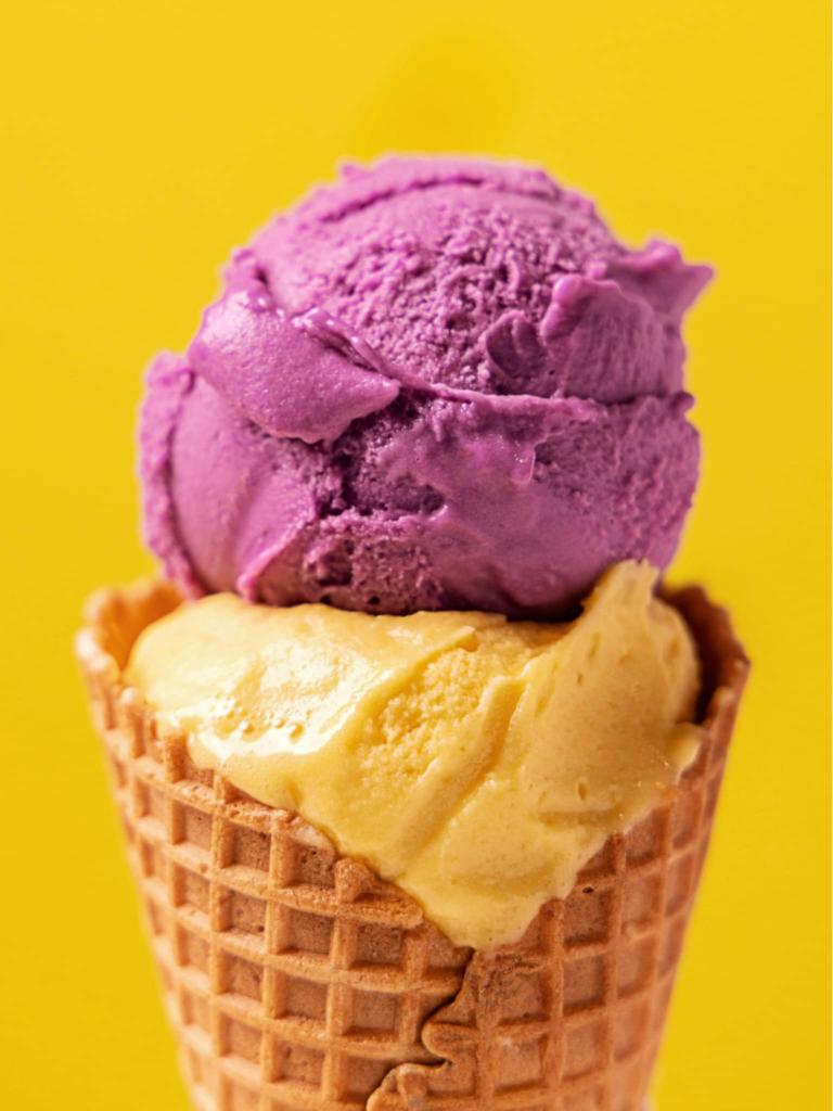 V Gelato Unveils New Summer Menu with “Summer Paw-ty”