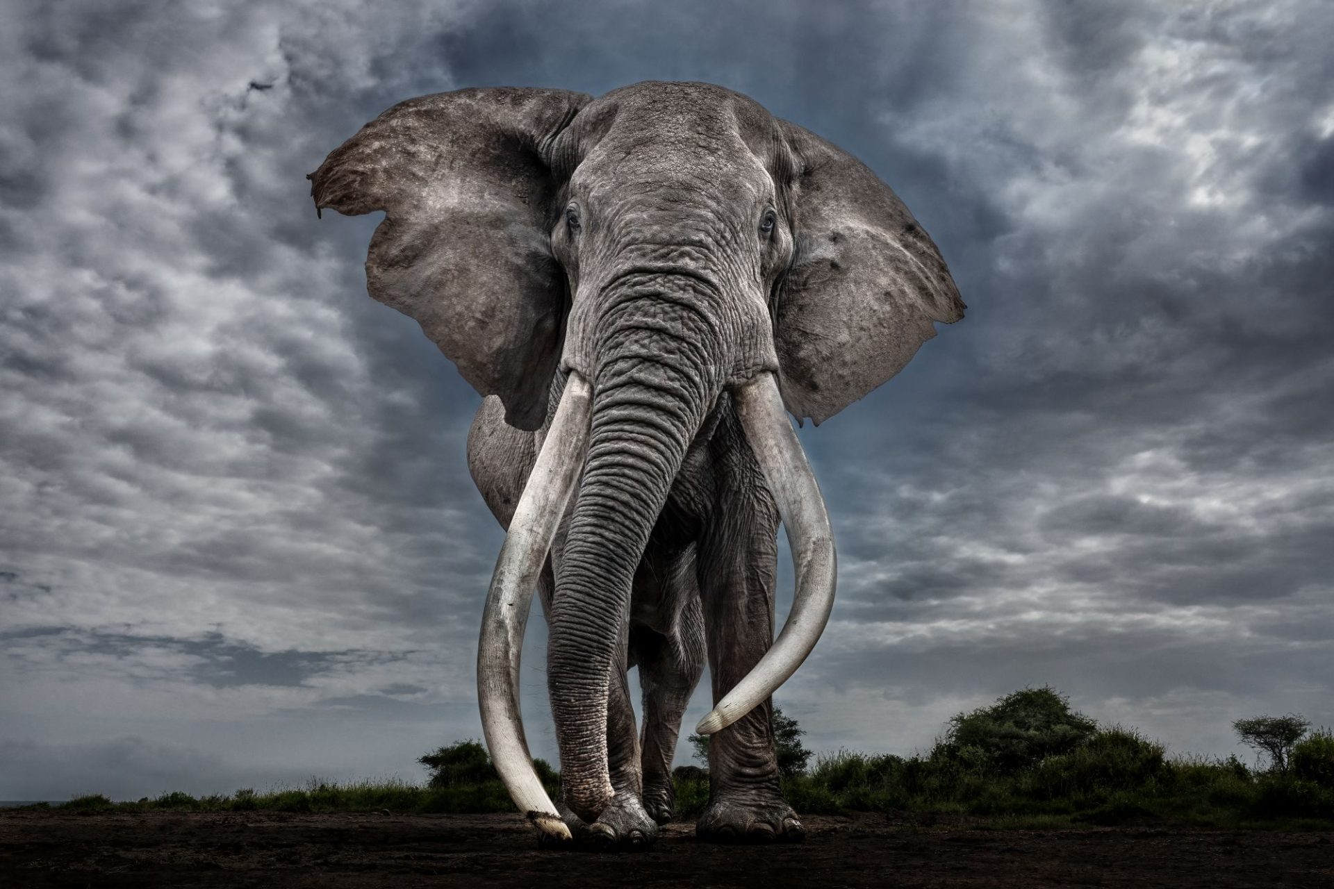 04 Legende - Paul Nicklen
