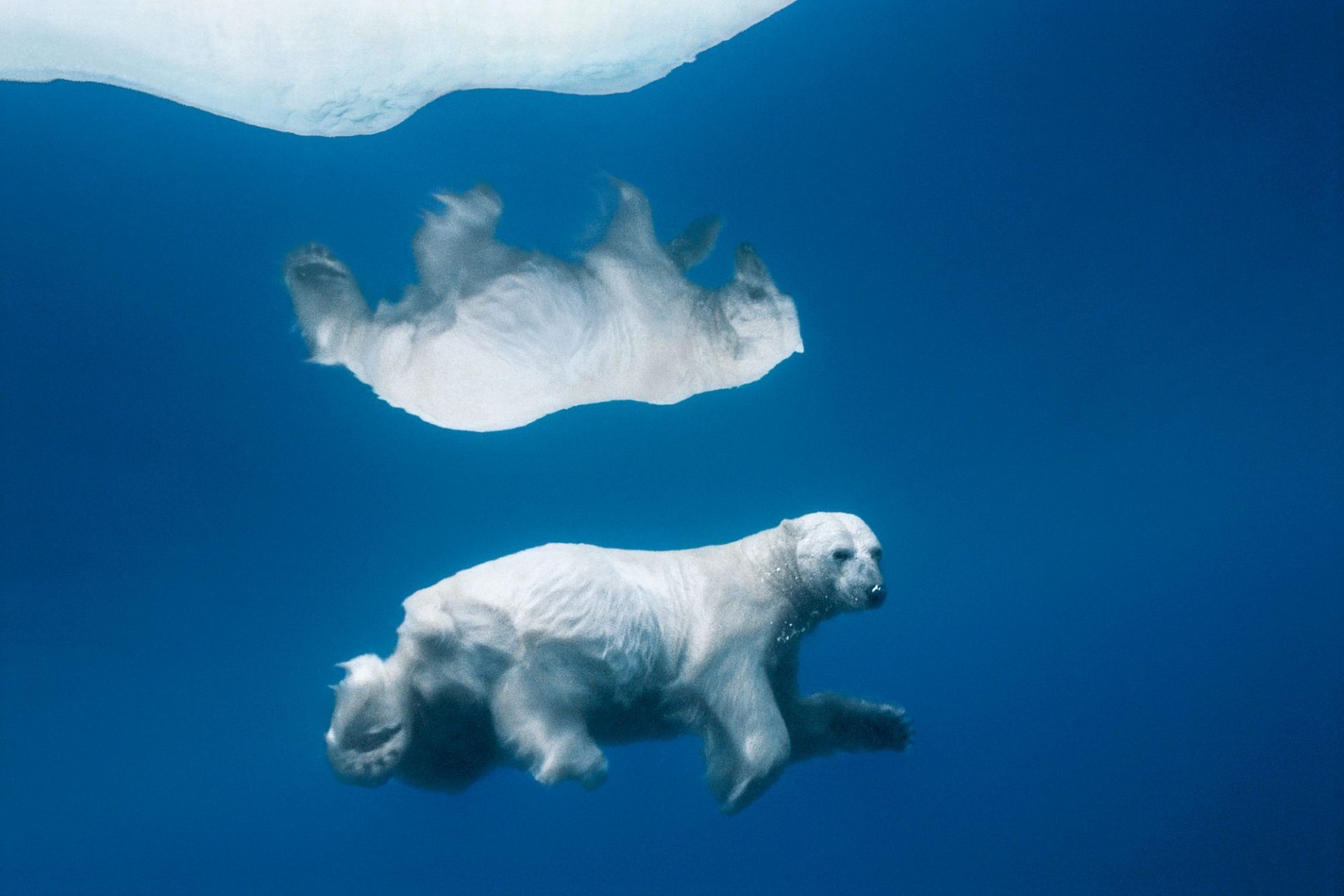 08 Polar Reflections