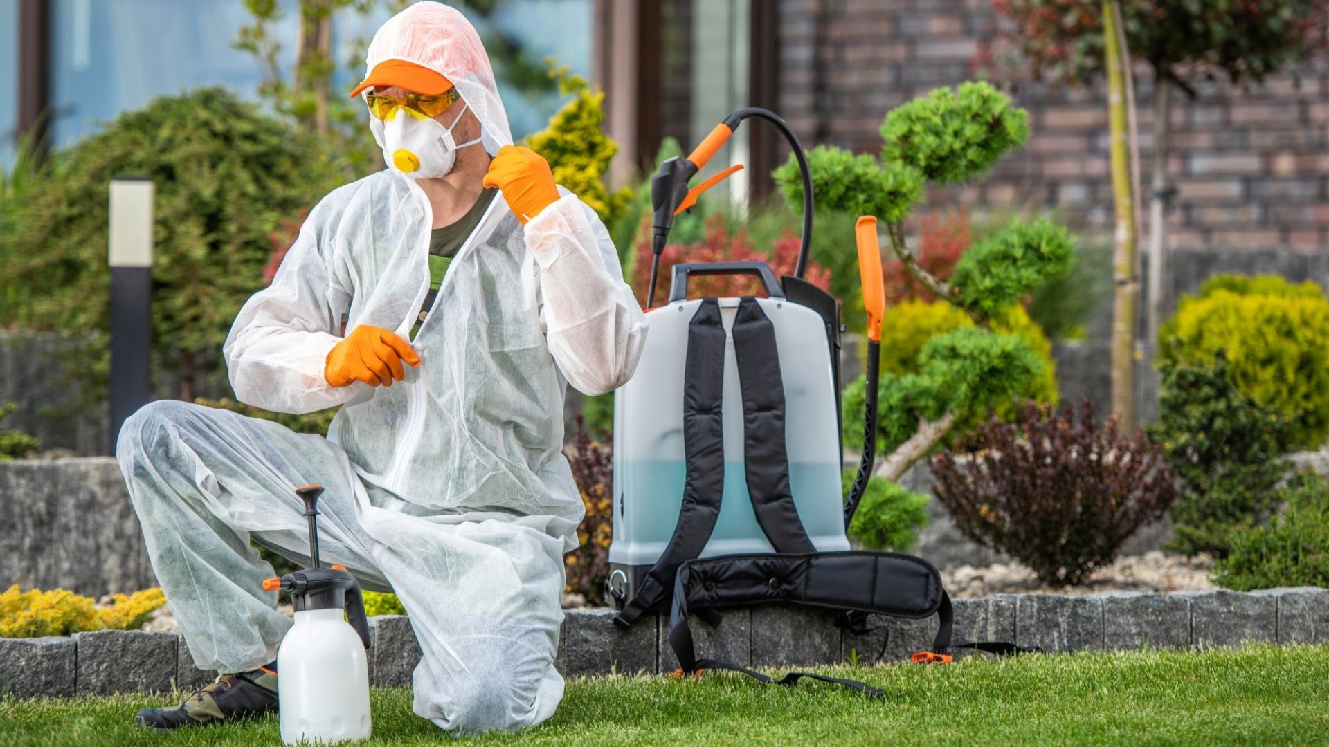 Spotting Pest Problems Before You Commit