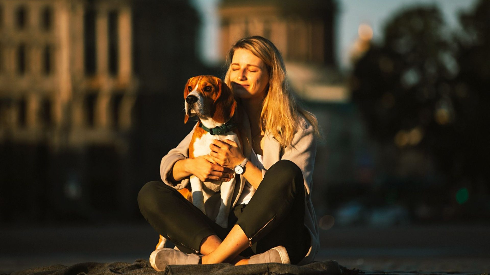 Raças de cães em Nova York: Um mini guia para donos de animais de estimação na cidade
