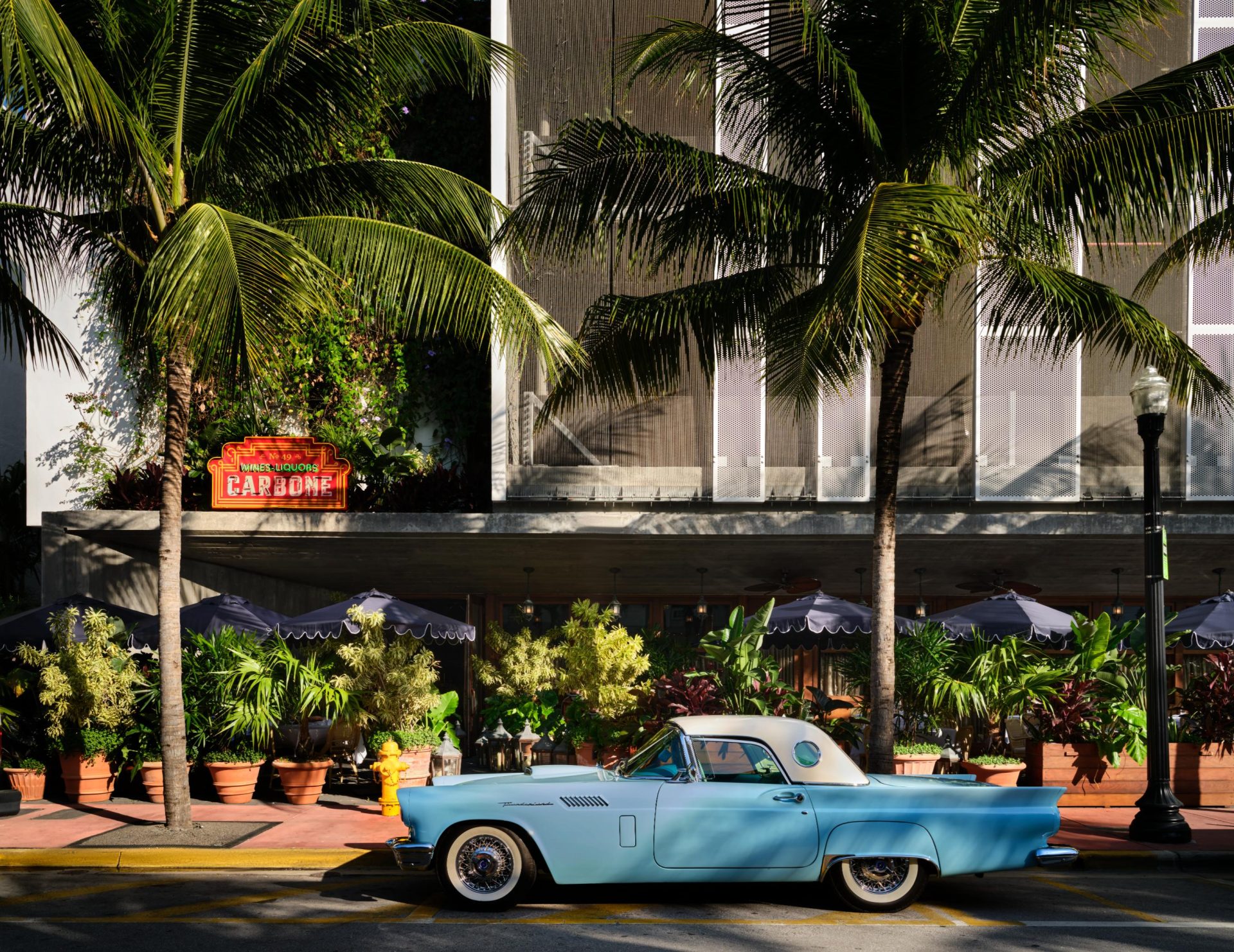 CARBONE Miami (