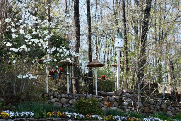 Guía para padres sobre la escapada de fin de semana perfecta en Pigeon Forge