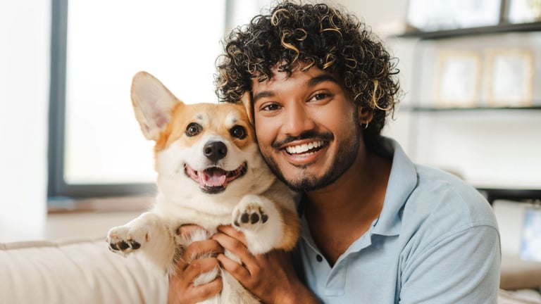 How to Choose the Best Pet Insurance for Your Furry Friend in Australia