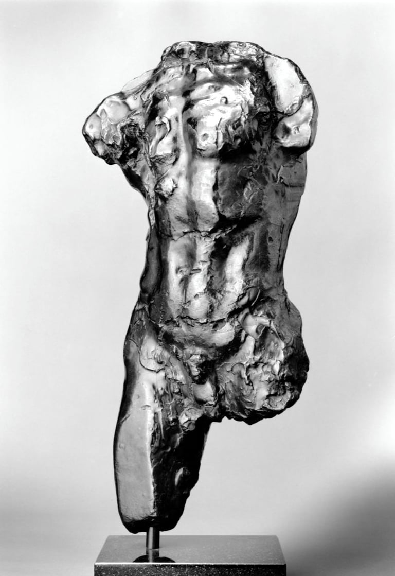 #1516 Study torso walk man front view 600