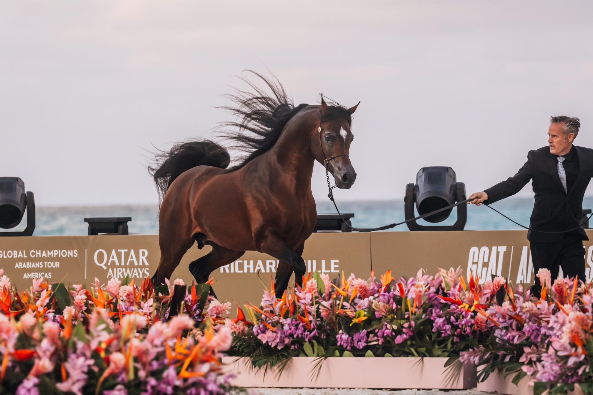 Global Champions Arabians Tour Miami Beach 2026
