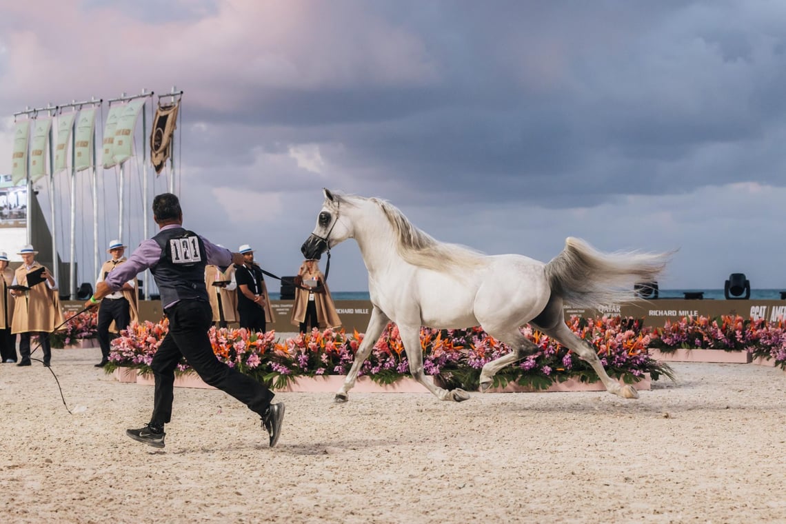 Global Champions Arabians Tour Miami Beach 2026