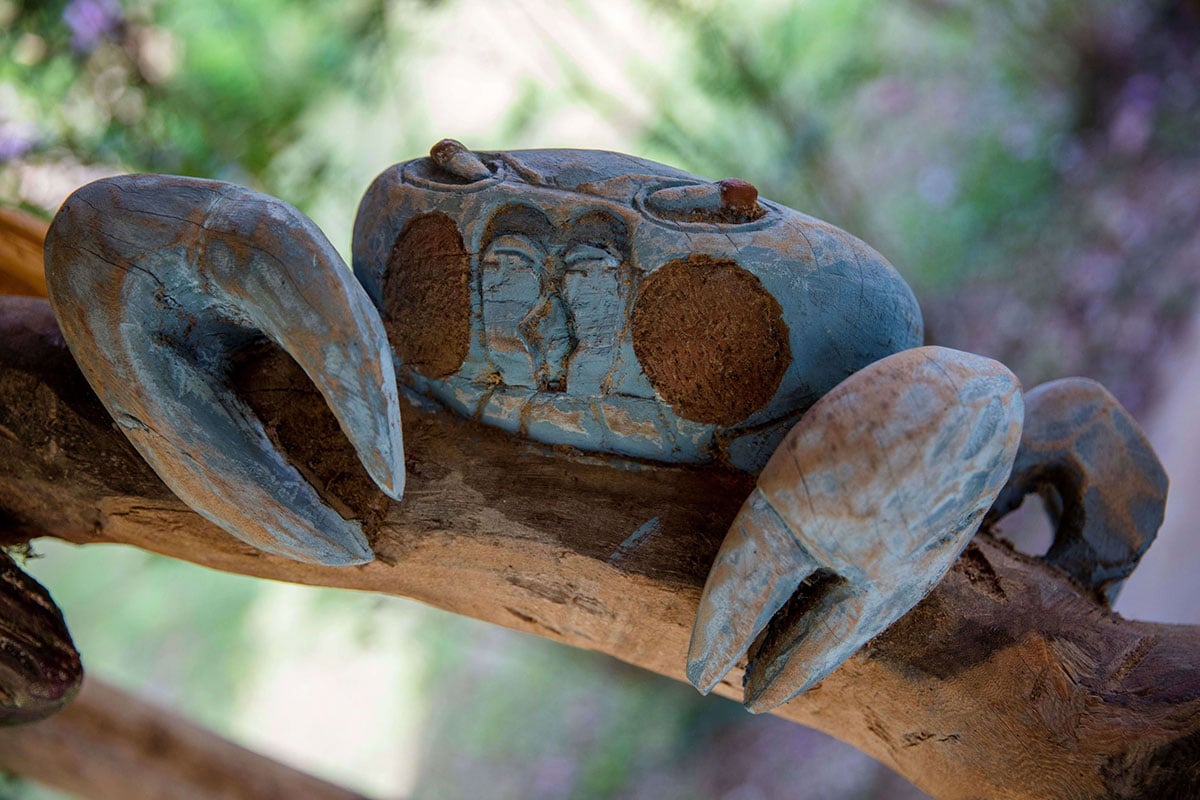 Discover Miches Dominican Republic: Caribbean’s Emerging Luxury Destination