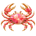 Cancer