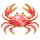 Cancer