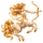 Sagittarius
