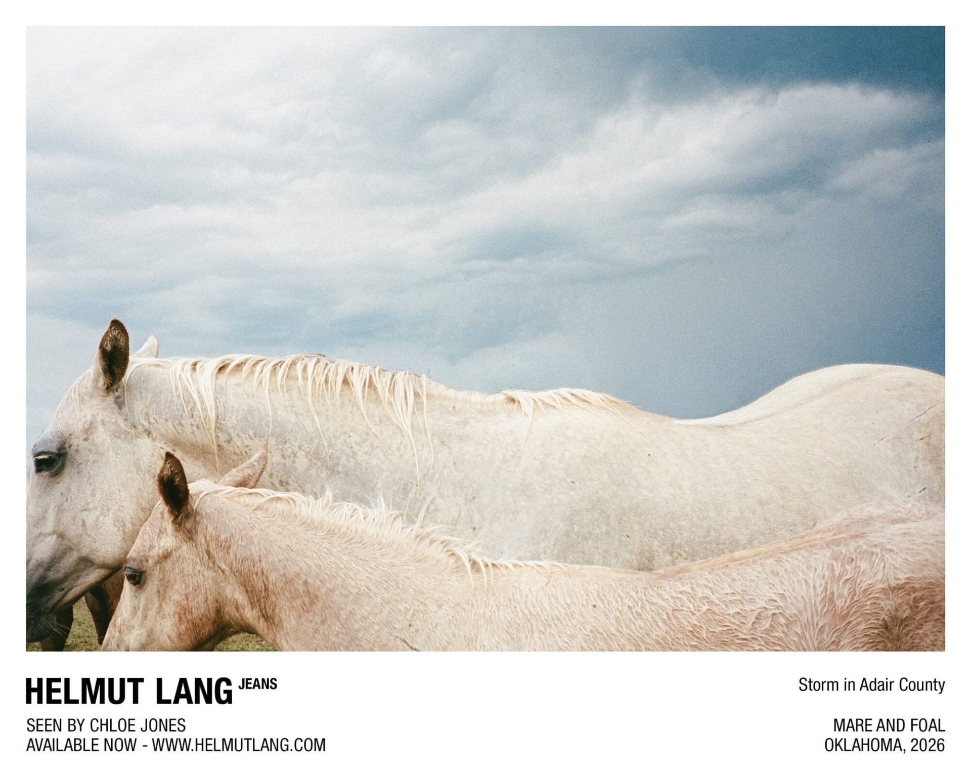 Helmut Lang Jeans, Seen by Chloë Jones