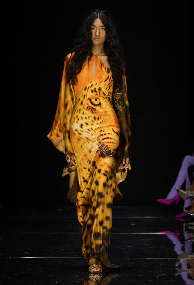 Roberto Cavalli Spring 2027 Ready-to-Wear Collection at Milan Fashion Week
