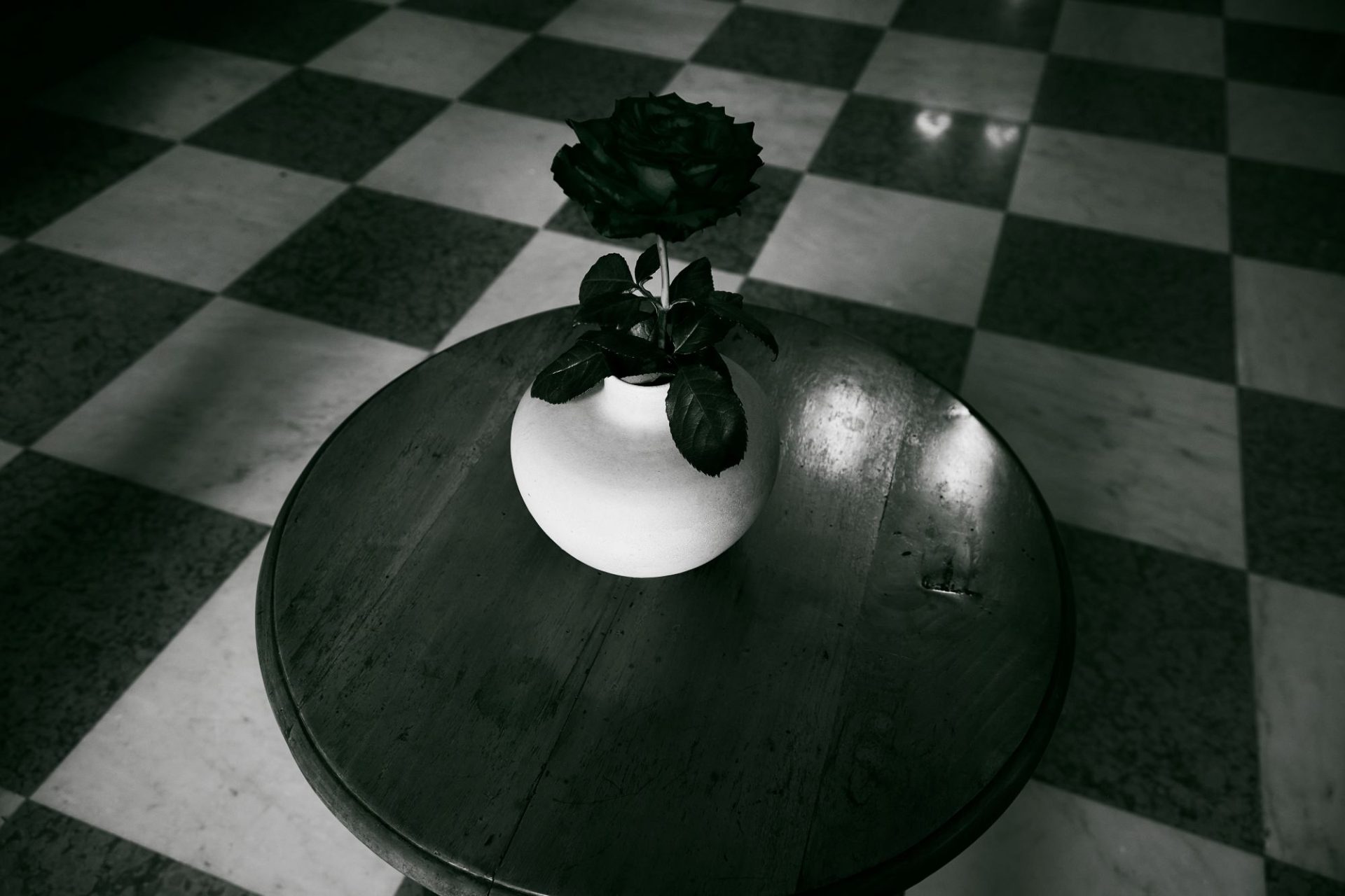 Malloni The Flower Code (1)