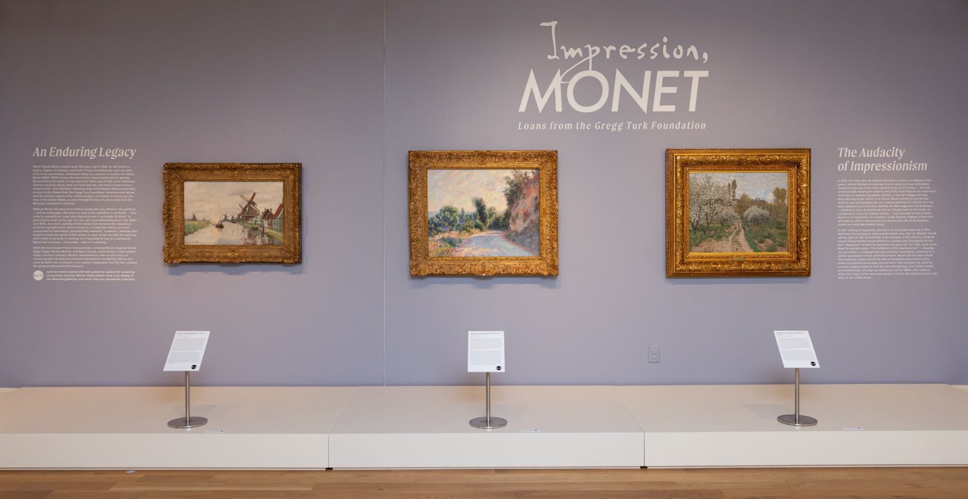 Monet at Gibbes Final Weeks (8)